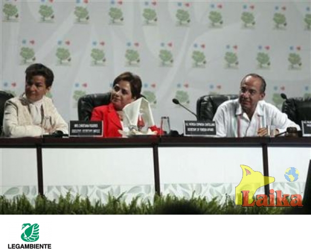 articolo su Cancun 2010 mutamenti climatici e malattie infettive veicolate da insetti