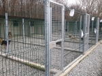 box per cani dog shelter bound prefabbricati canile Laika galleria foto canile realizzazione laika