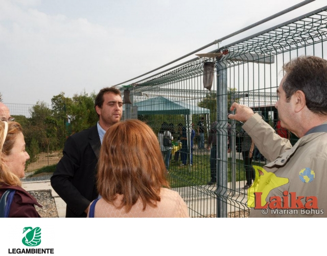 ing leonardo spacone progettista adaposturi cernavoda dog shelter box per cani canili